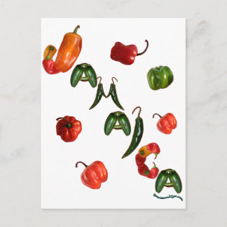 Carte Postale Peppers chili Jamaïque
