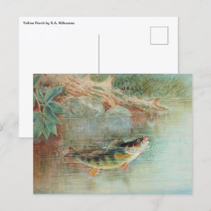 Carte Postale Perche jaune par S.A. Kilbourne, Poisson vintage
