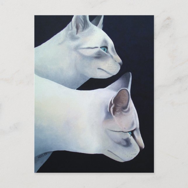 Carte postale Percival & Lancelot (Devant)