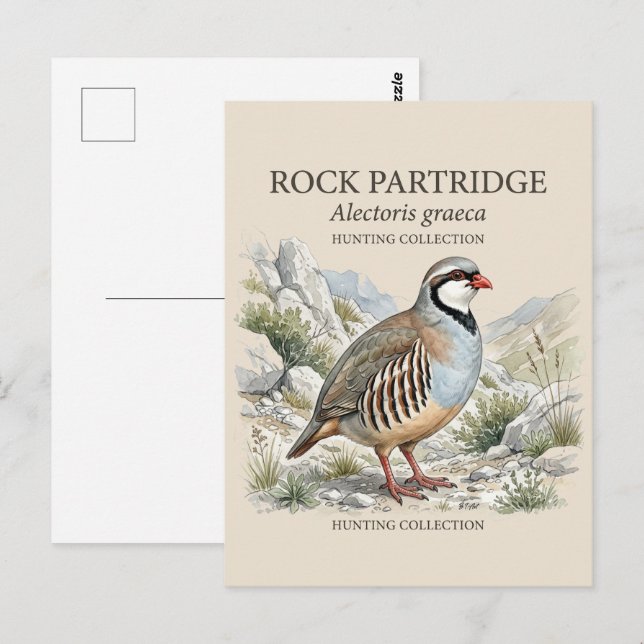Carte Postale Perdrix bartavelle, Alectoris Graeca Oiseaux de Ch (Devant / Derrière)