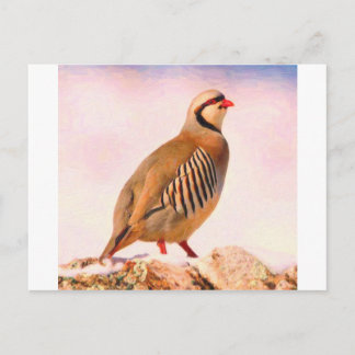 Carte Postale Perdrix d'oiseaux officiels kurdes