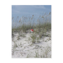 Perdu dans les dunes