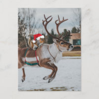 Père Noël adorable Écureuil sautant Renne dans la
