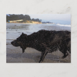 Carte Postale Père Noël Barbara, Californie, USA