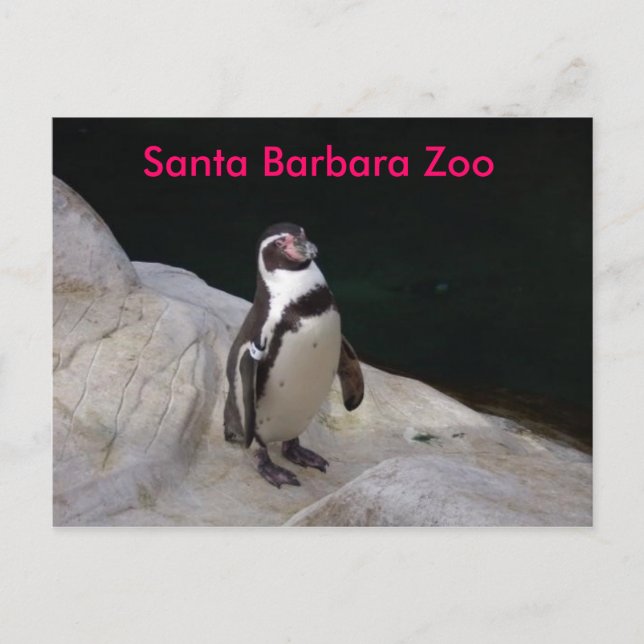 Carte Postale père Noël Barbara Zoo (Devant)