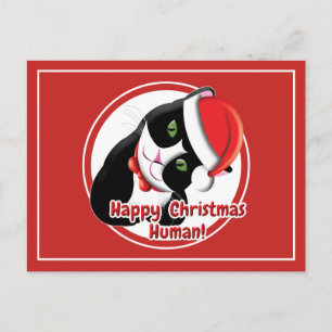 Carte Postale Père Noël Cat