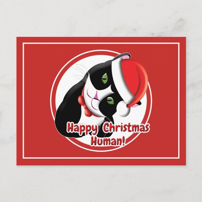 Carte Postale Père Noël Cat (Devant)