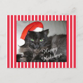 Carte postale père Noël Cat Strited Christmas