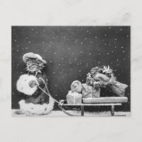 Père Noël Cat, un chat du Père Noël