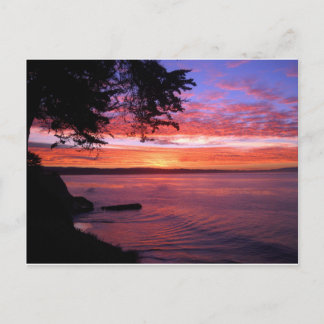 Carte Postale Père Noël Cruz, CA. Soleil
