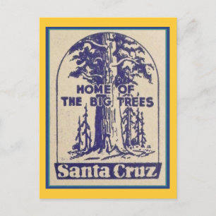 Carte Postale père Noël Cruz California - Maison des grands arbr