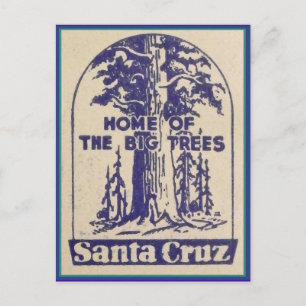 Carte Postale père Noël Cruz California - Maison des grands arbr