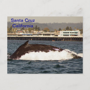 Carte postale père Noël Cruz, Californie