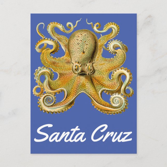 Carte Postale Père Noël Cruz Octopus vintage (Devant)