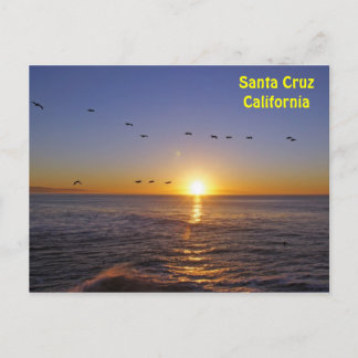 Carte Postale Père Noël Cruz Pelicans à Sunrise Postcard