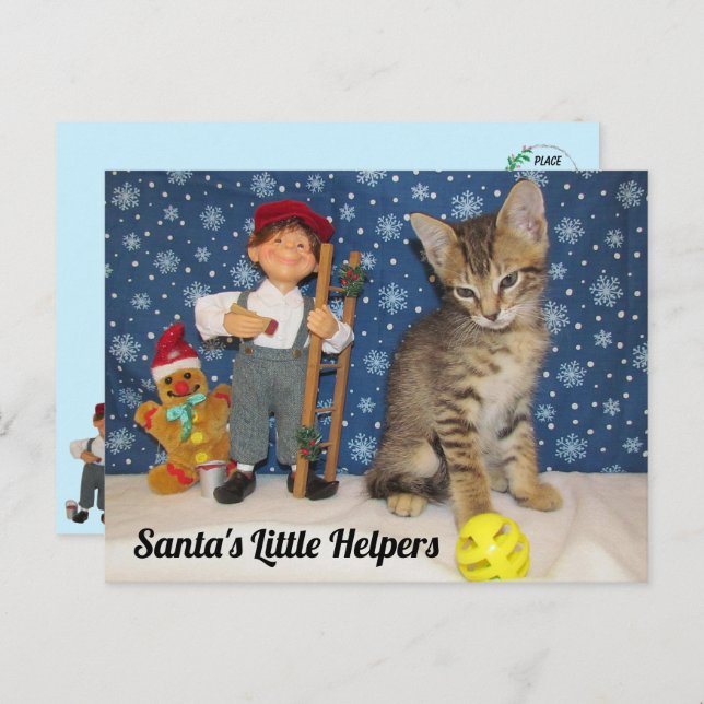 Carte Postale Père Noël Little Helpers - Chat & Elf (Devant / Derrière)