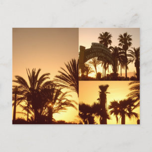 Carte postale père Noël Monica Sunset