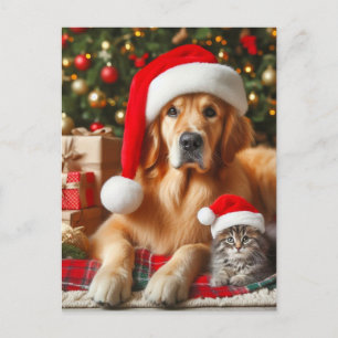 Carte Postale Père Noël Pets Golden Retriever et Kitten Christma