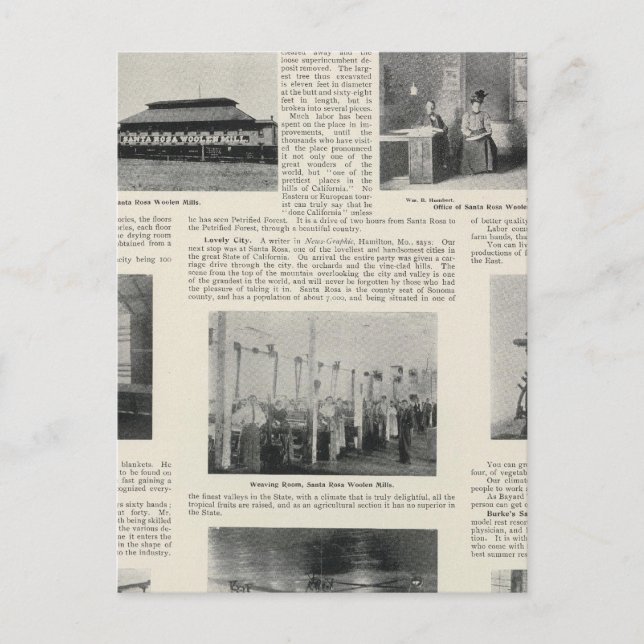 Carte Postale Père Noël Rosa, Californie (Devant)