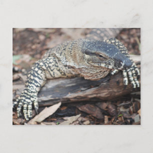 Carte Postale Perenti