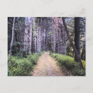 Carte Postale Perfection naturelle