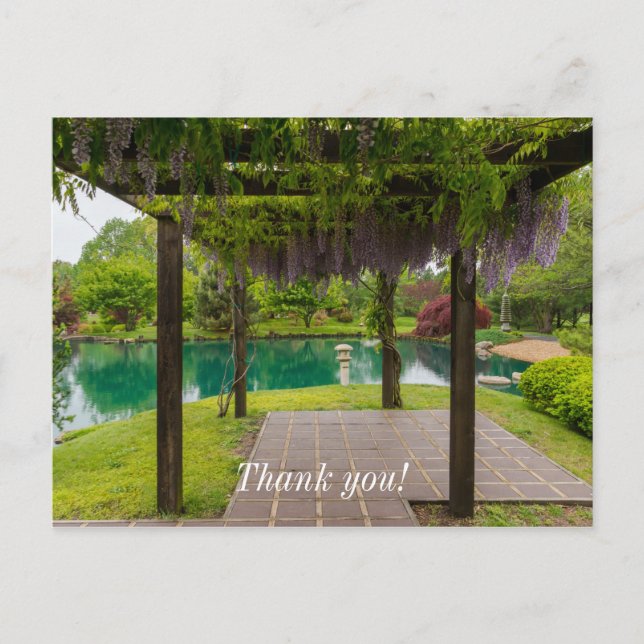 Carte Postale Pergola de glycine (Devant)