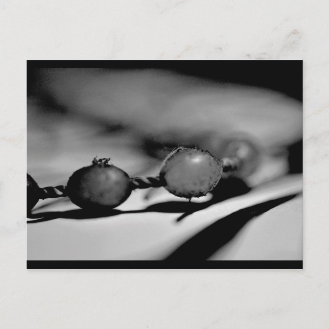 Carte Postale Perles (Devant)