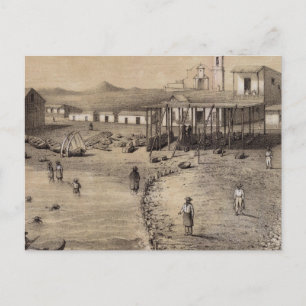 Carte Postale Pérou 23