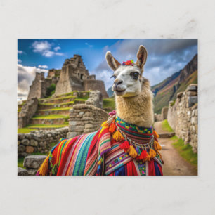 Carte Postale Pérou Llama