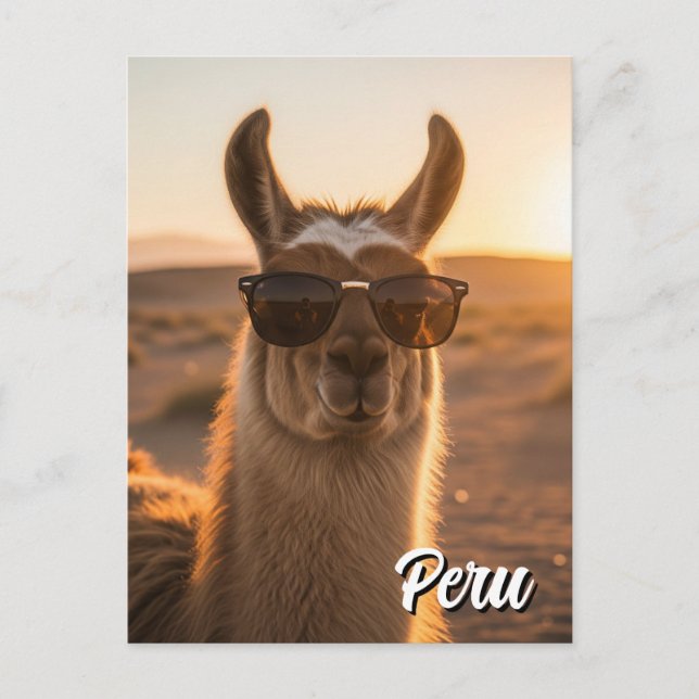 Carte Postale Pérou Llama en lunettes de soleil (Devant)
