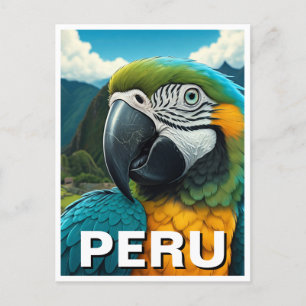 Carte Postale Pérou Macaw