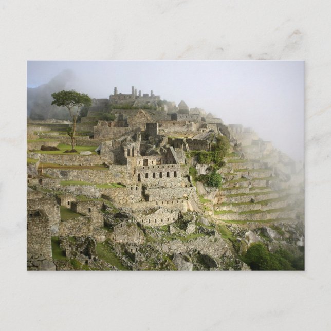 Carte Postale Pérou, Machu Picchu. L'ancienne citadelle de Machu (Devant)