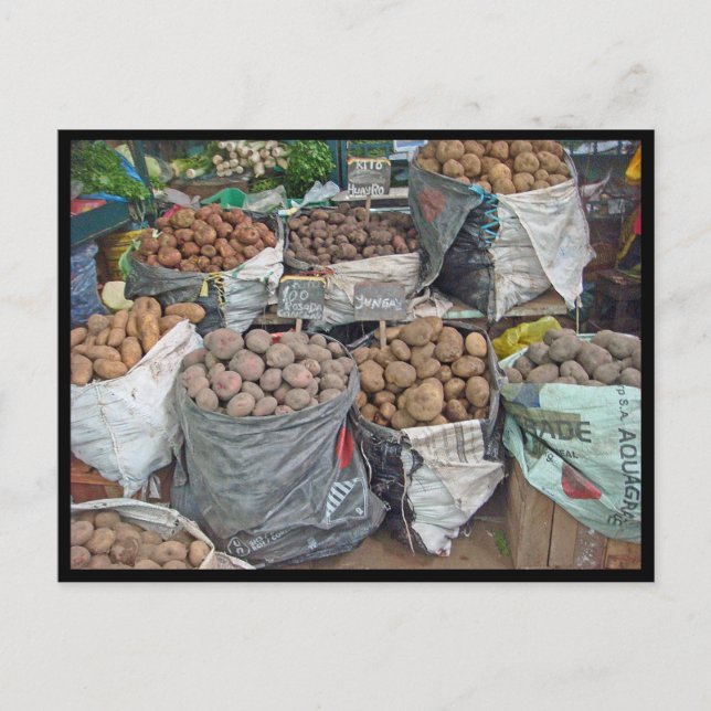 Carte Postale Pérou-Pays des pommes de terre (Devant)