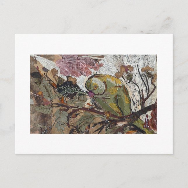 Carte Postale perroquet (Devant)