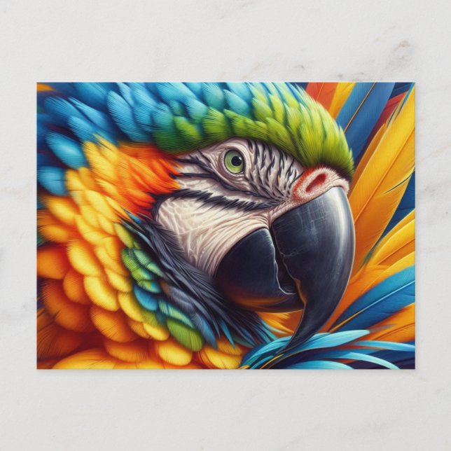 Carte Postale Perroquet Ara Amateur des Oiseaux  (Devant)