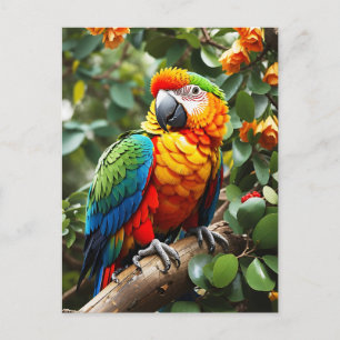 Carte Postale Perroquet coloré