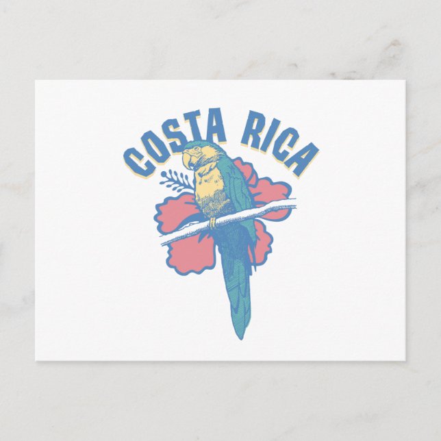 Carte Postale Perroquet du Costa Rica (Devant)