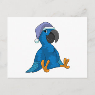 Carte Postale Perroquet endormi avec bonnet de nuit