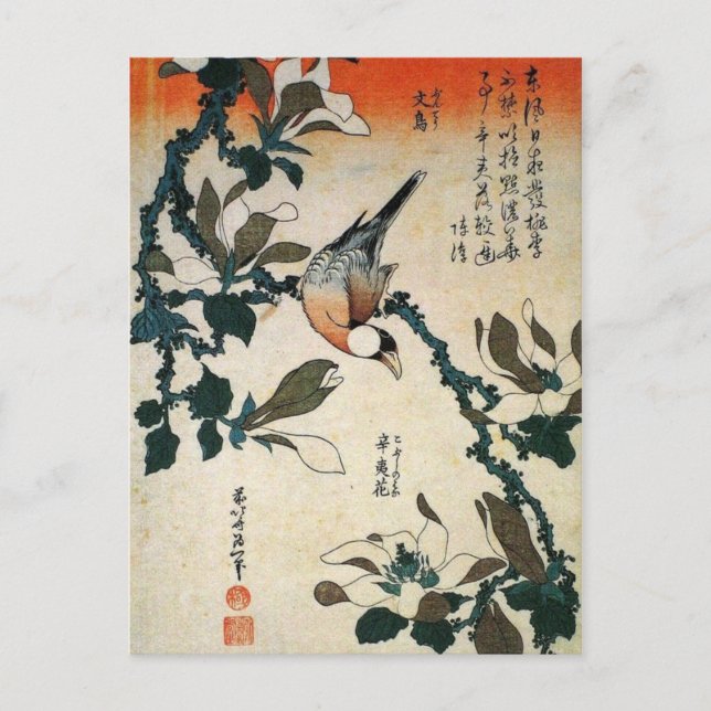 Carte Postale Perroquet et fleurs (Devant)