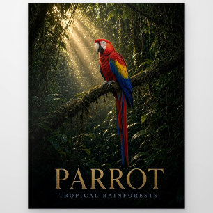 Carte Postale Perroquet Forêts tropicales humides Faune ANIMAL