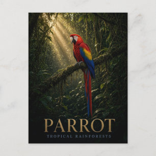 Carte Postale Perroquet Forêts tropicales humides Faune ANIMAL