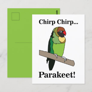 Carte Postale Perroquet oiseau 
