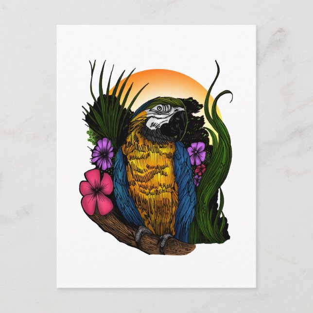 Carte Postale Perroquet tropical (Devant)