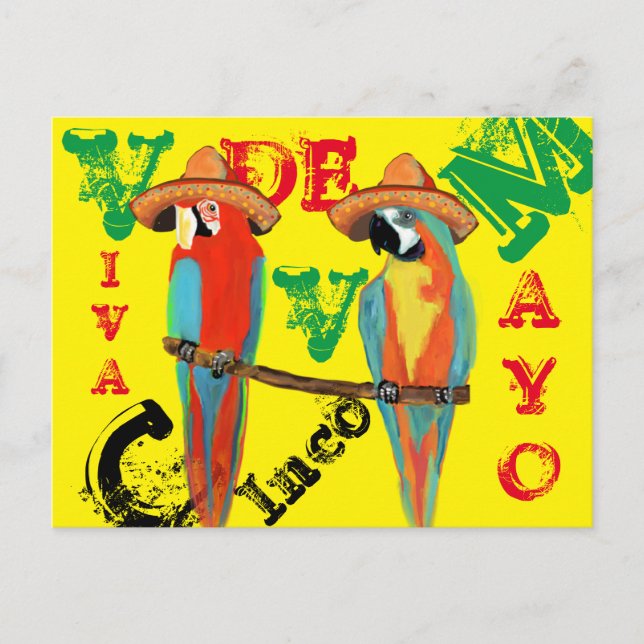 CARTE POSTALE PERROQUETS (Devant)