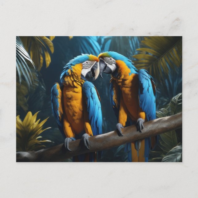 Carte Postale Perroquets colorés (Devant)