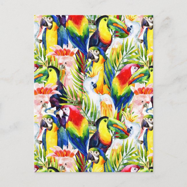 Carte Postale Perroquets Et Feuilles De Palmiers (Devant)