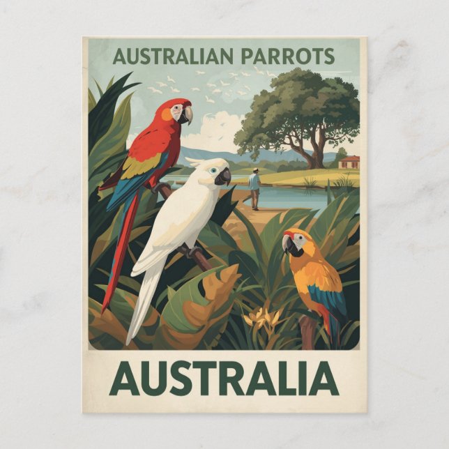 Carte Postale Perroquets fauniques Australie vintage (Devant)