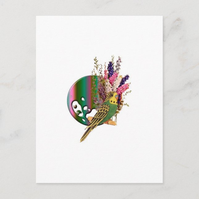 Carte Postale Perruche (Devant)