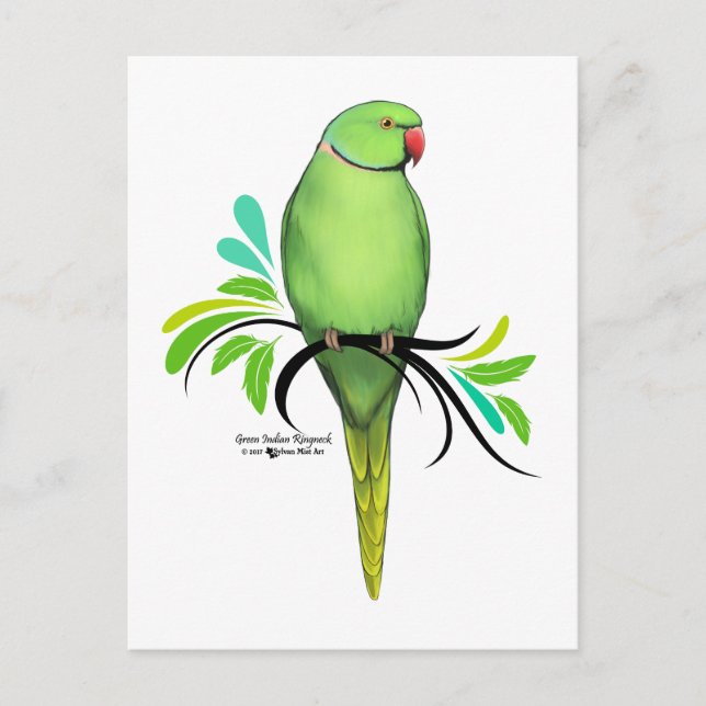 Carte Postale Perruche à collier indien vert (Devant)
