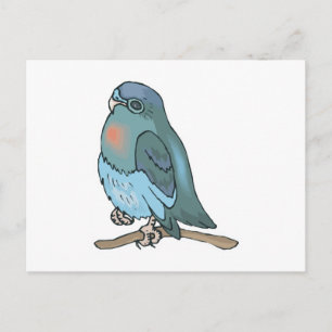 Carte Postale perruche oiseau vert et bleu